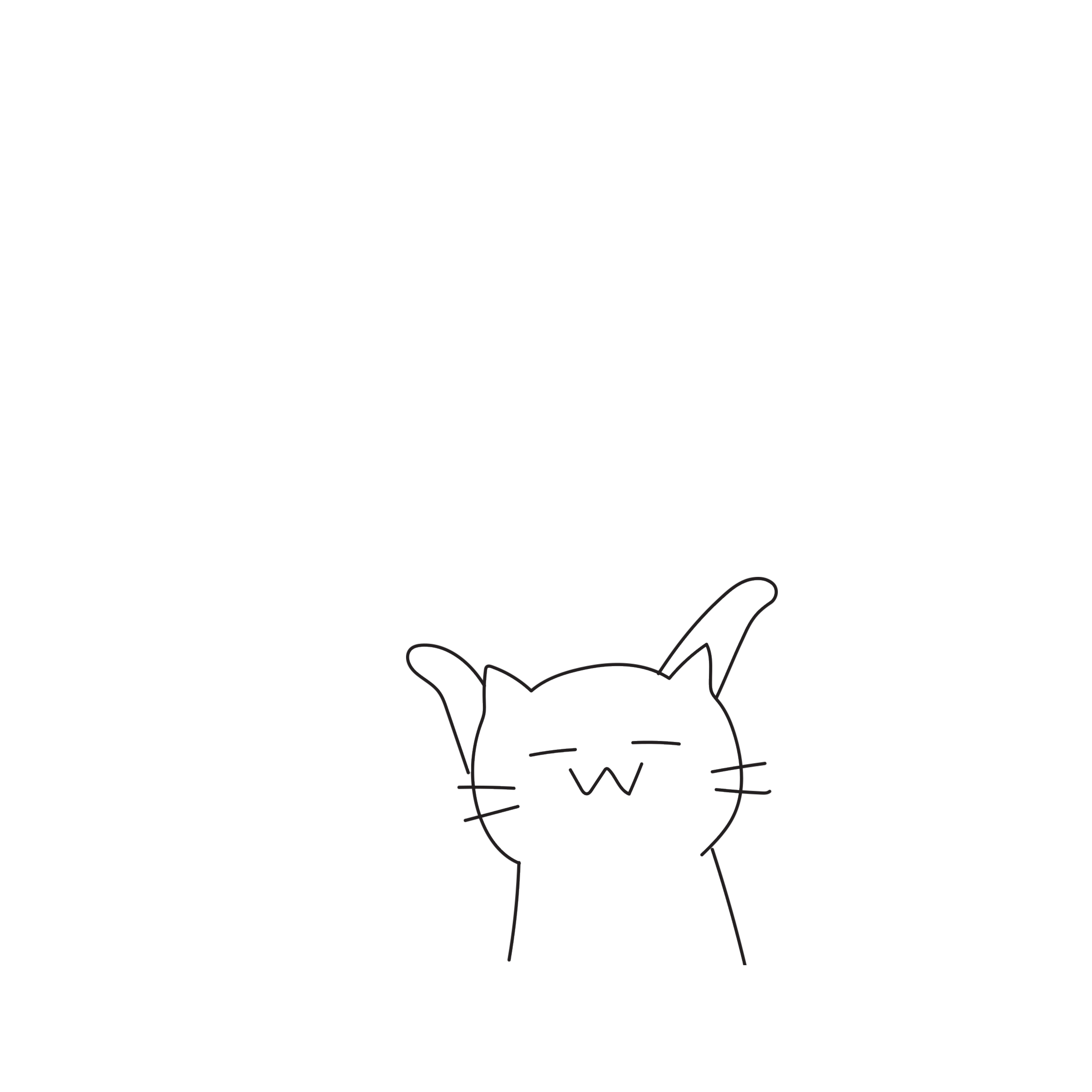 น้ำแมวฉ้มปั่น CAT SLAP 2.0 แมวเหลว